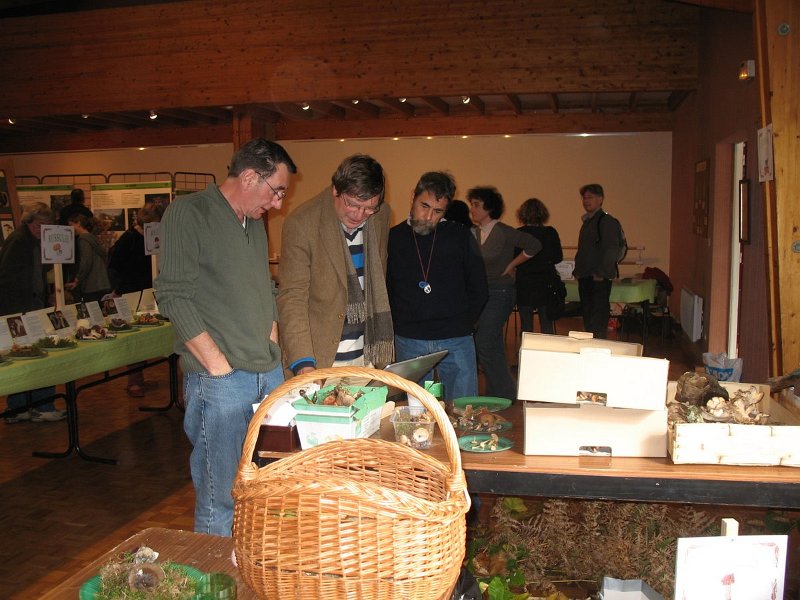 2009 10 Expo champignons de Clairefontaine 21